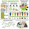 Waste infographic. Sorting garbage, segregation and recycling infographics