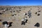 Waste laying everywhere in Uyuni, Bolivia