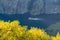 Waste in Ribeira Sacra, Balcon de Madrid viewpoint