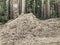 Waste sawmill and bark chips. Stack of raw material.