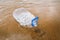 Wasted plastic bottle on beach
