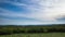 Wasteland with bushes and grass in front of a forest against a sky with running clouds