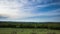 Wasteland with bushes and grass in front of a forest against a sky with running clouds