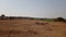 Wasteland Forest and Fields near Indore