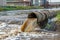 Wastewater discharge pipe into the river - AI Generated