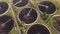 Wastewater treatment plant of a round shape top view