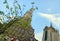 Wat Arun buddhist temple, Bangkok, Thailand - detail