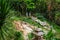 Wat Palad temple buildings, Chiang Mai, Thailand