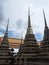 Wat pho or The Temple of  the Reclining Buddha