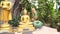 Wat Phra Singh Temple in Chiang Mai, Thailand. Variety of golden Buddha sculptures in the park