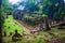 Wat Phu Champasak temple