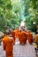 Wat Pra That Doi Suthep, many bald shaved Buddhist monks