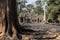 Wat Ta Prohm ruins at Angkor Wat