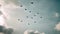 Watch a formation of powerful fighter jets as they skillfully maneuver through a cloudy sky, A drone swarm performing a