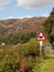 Watch out for the sheep road sign