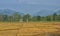 Watch Tower, Jaldapara National Park, India