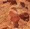 Watcher Goblin Hoodoo Goblin Valley State Park Utah