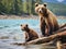 Watchful Grizzly bear siblings