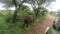 Watching elephant from safari vehicle, 4K
