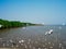 Watching seagulls at Bangpoo, Thailand. Winter season