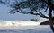 Watching surf under trees of Puako beach