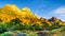 The Watchman and Bridge mountains in Zion National Park in Utah, United States