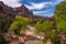 The Watchman cliff and Virgin River, Zion National Park, Utah