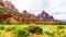 The Watchman and Cliffs of Bridge Mountain viewed from the Pa`rus Trail in Zion National Park, Utah