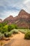 Watchman Trail Zion National Park