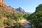 Watchman Zion National Park