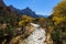 The Watchman Zion National Park Utah in Autumn