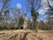 Watchtower on the Lochemse Berg