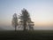 Watchtower Lookout at Beautiful Nature Wild Landscape Sunrise with Foggy Mist