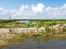 Watchtower and marshes on manmade artificial island Marker Wadden, Markermeer, Netherlands