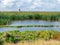 Watchtower and marshes on manmade artificial island Marker Wadden, Markermeer, Netherlands