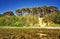 Water with algae and Baltic Sea cliff with trees