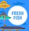 Water Animal, Fresh Fish Blue Postcard Vector