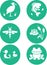 Water animals stencil green set