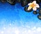 Water background and frangipani flowers