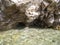 Water and beautiful sea view underwater, sea urchins. Natural living. Pelion peninsula. Pagasetic gulf. Platanias village. Greece.