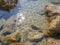 Water and beautiful sea view underwater, sea urchins. Natural living. Pelion peninsula. Pagasetic gulf. Platanias village. Greece.