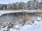 Water birds collected in winter on a part of an unfrozen pond and on an ice edge