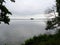 Water birds flocking on the surface of Schwerin lake with a forest on the horizon