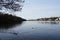 Water birds Fulica atra and Anas platyrhynchos swim in the Mueggelspree river in February. Berlin, Germany