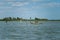 Water birds sitting on branch in middle of river. Wetland animal life