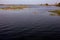 Water brimming in the Palar river submerging plants, Tamil Nadu, India