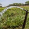 Water bring life in venezuela