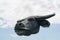 Water buffalo head isolate on bluesky clouds.