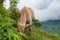 Water buffaloes grazing with countryside landscape on the background