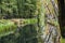 Water canal with reflections in the biosphere reserve Spree forest Spreewald in autum